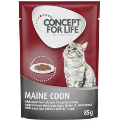 Concept for Life Maine Coon Adult lohi – viljaton koostumus!