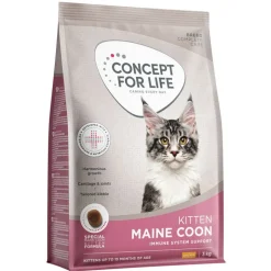 Concept for Life Maine Coon Kitten - paranneltu koostumus!