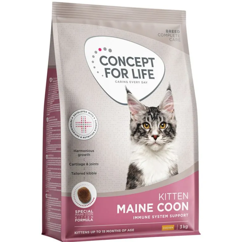 Concept for Life Maine Coon Kitten - paranneltu koostumus!