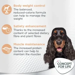 Concept for Life Medium Light