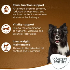 Concept for Life Medium Senior
