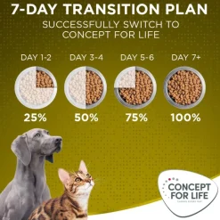 Concept for Life Mini Adult