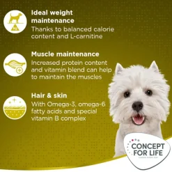 Concept for Life Mini Adult