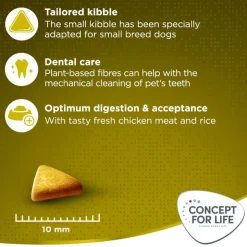 Concept for Life Mini Adult