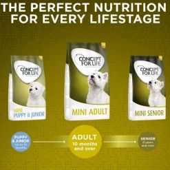 Concept for Life Mini Adult