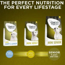 Concept for Life Mini Senior