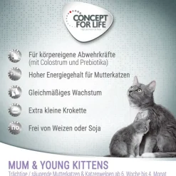 Concept for Life Mum & Young Kittens – Parannettu resepti!