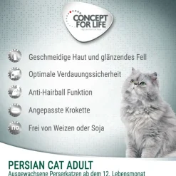 Concept for Life Persian Adult