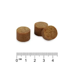 Concept for Life Probiotic Supplements Chews
