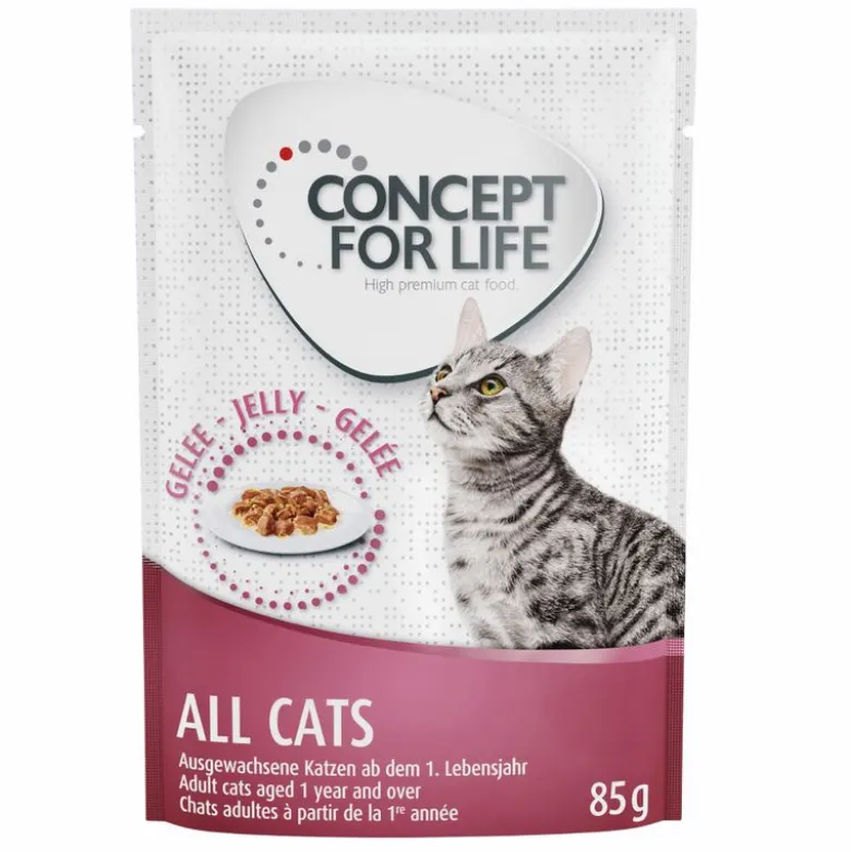 Concept for Life -säästöpakkaus 24 x 85 g