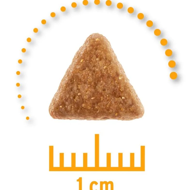Concept for Life Veterinary Diet Urinary