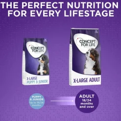 Concept for Life X-Large Adult