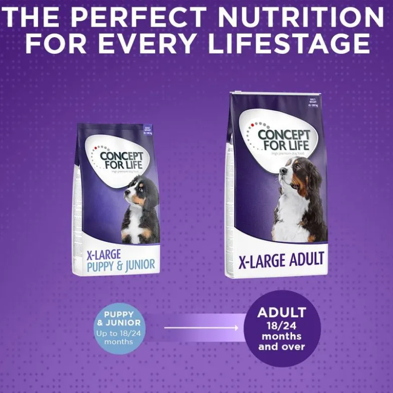 Concept for Life X-Large Adult