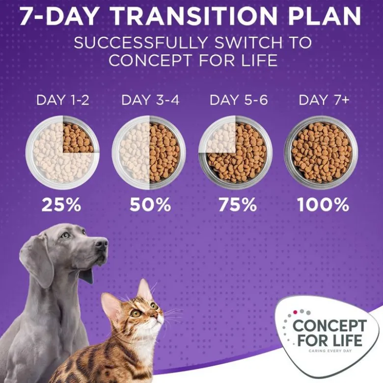 Concept for Life X-Large Adult