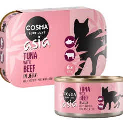 Cosma Asia hyytelössä -säästöpakkaus 24 x 170 g