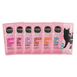 Cosma Asia Pouches -säästöpakkaus 24 x 100 g
