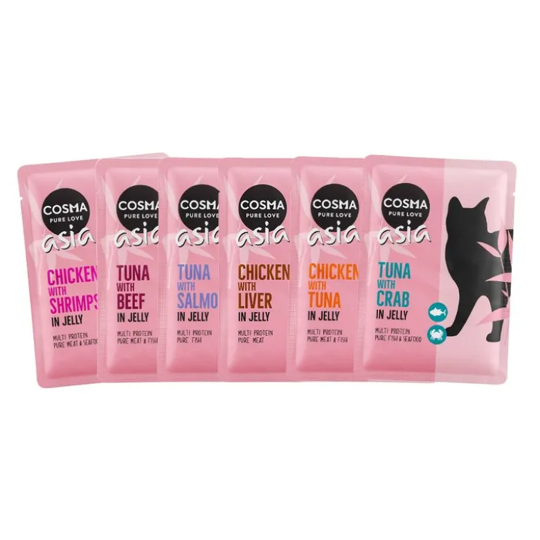 Cosma Asia Pouches -säästöpakkaus 24 x 100 g