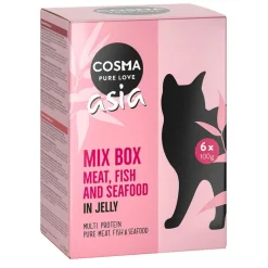 Cosma Asia Pouches -säästöpakkaus 24 x 100 g