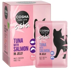 Cosma Asia Pouches -säästöpakkaus 24 x 100 g