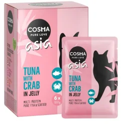 Cosma Asia Pouches -säästöpakkaus 24 x 100 g