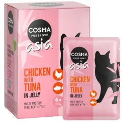 Cosma Asia Pouches -säästöpakkaus 24 x 100 g