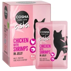 Cosma Asia Pouches -säästöpakkaus 24 x 100 g