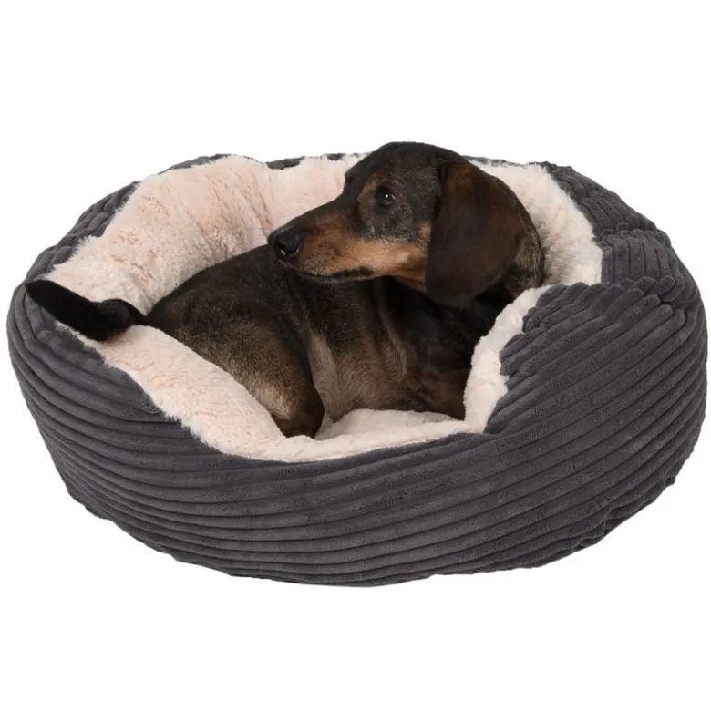 Cozy Cord -lemmikinpeti