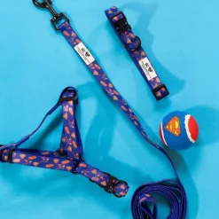 DC Superman -kaulapanta, sininen