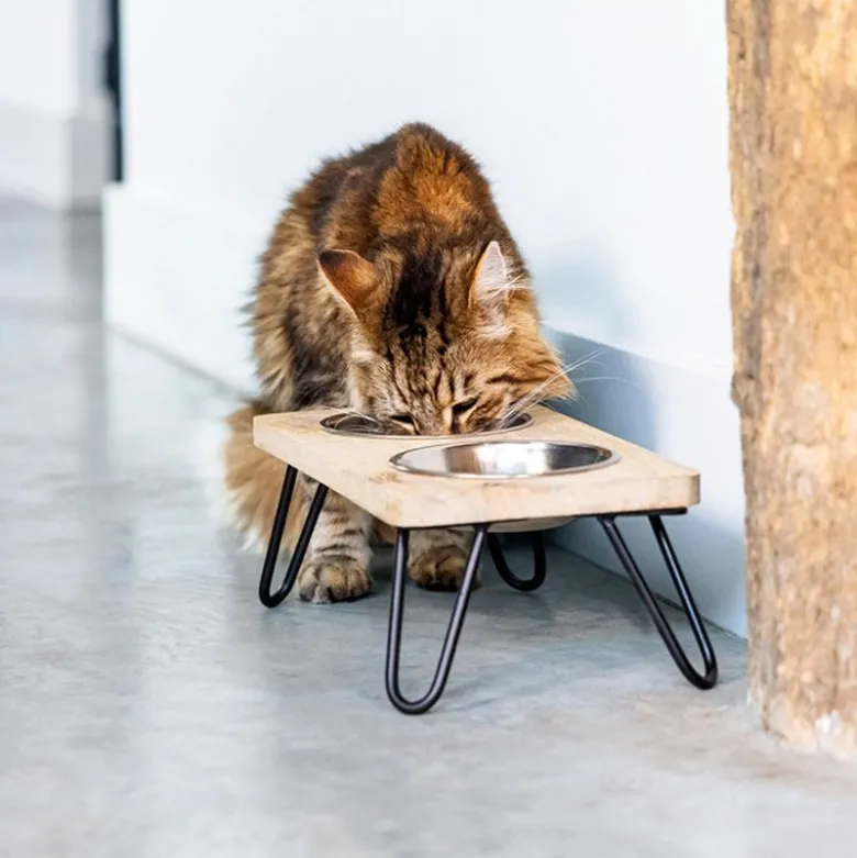 Designed by Lotte Linga -ruokintapiste