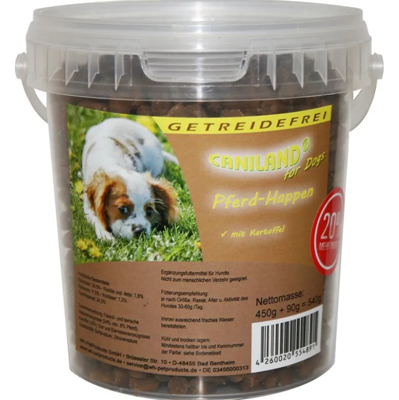 Doggy Brain Train 2in1 -aktivointilelu