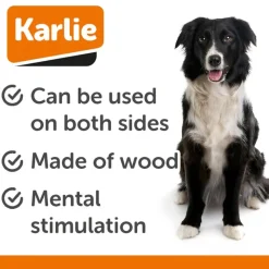 Doggy Brain Train 2in1 -aktivointilelu