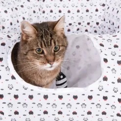 Donut -kissantunneli