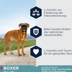 Eukanuba Adult Boxer - Breed Specific