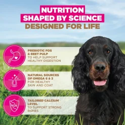 Eukanuba Grain Free Adult All Breeds riista