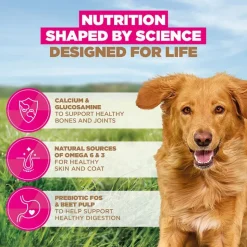 Eukanuba Grain Free Adult Large & Giant karitsa