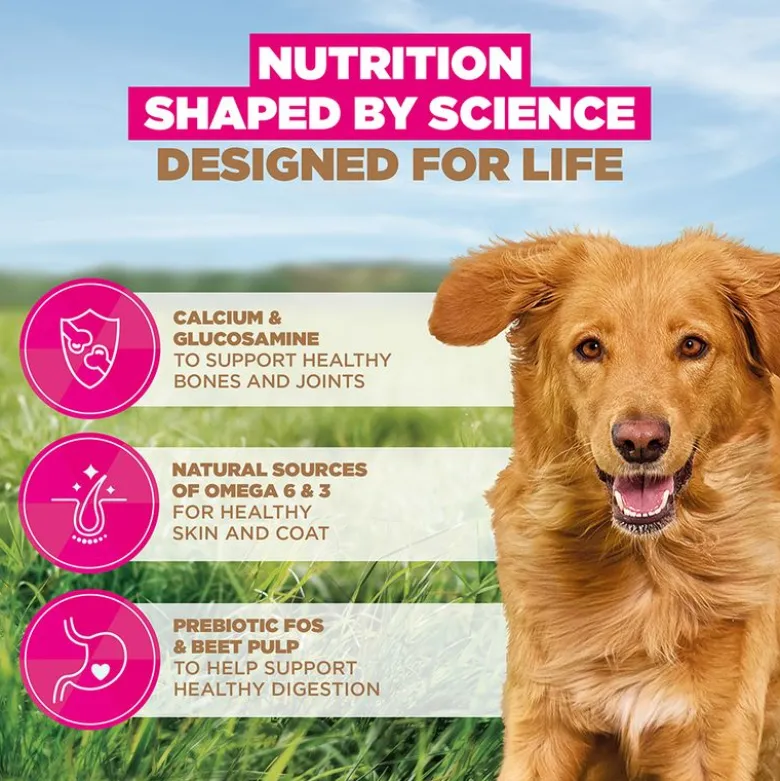 Eukanuba Grain Free Adult Large & Giant karitsa