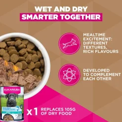 Eukanuba Grain Free Adult Large & Giant karitsa