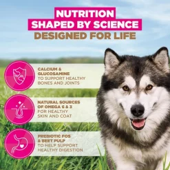 Eukanuba Grain Free Adult Large & Giant Breed merikala