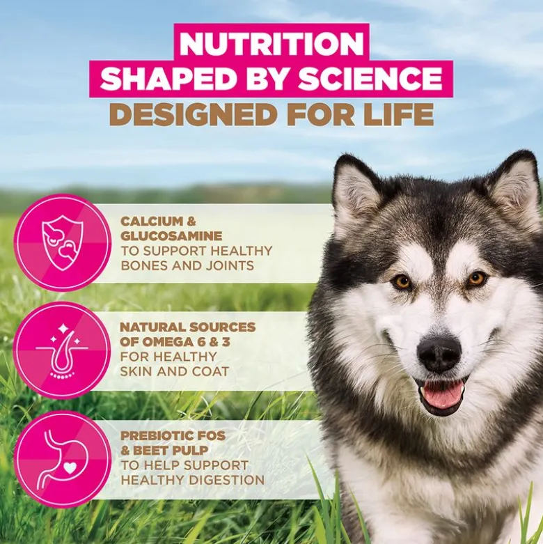Eukanuba Grain Free Adult Large & Giant Breed merikala