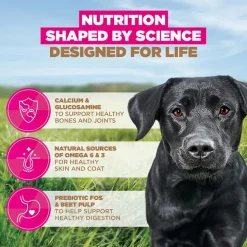 Eukanuba Grain Free Adult Large & Giant kana