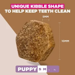 Eukanuba Grain Free Puppy Small & Medium Breed merikala
