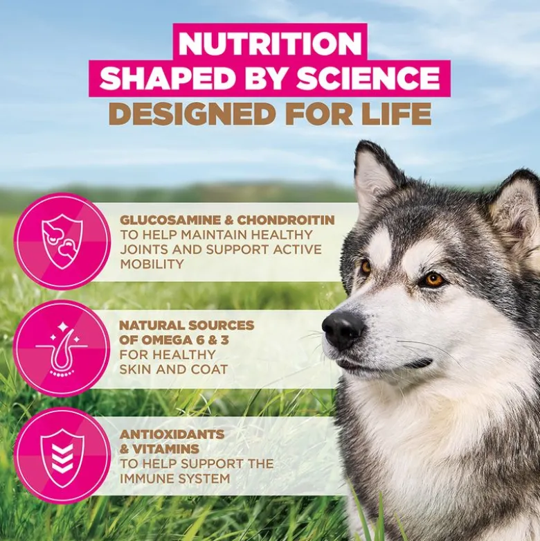 Eukanuba Grain Free Senior Large & Giant merikala