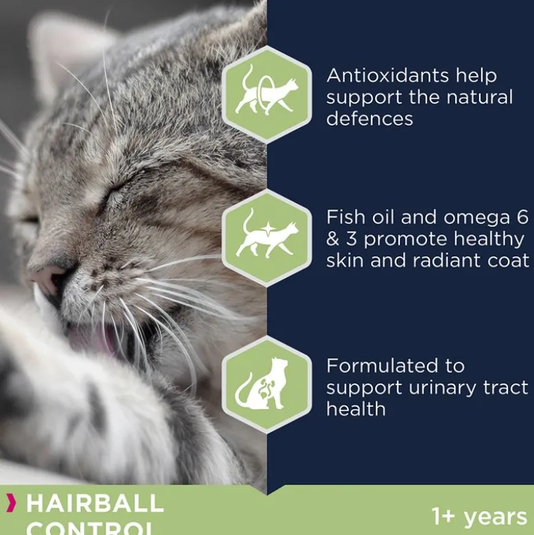 Eukanuba Hairball Control Adult