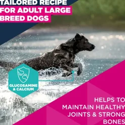 Eukanuba Premium Nutrition Adult Large & Giant Breed kana