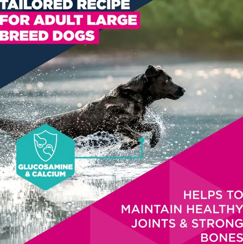 Eukanuba Premium Nutrition Adult Large & Giant Breed kana