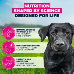 Eukanuba Premium Nutrition Adult Large & Giant Breed kana