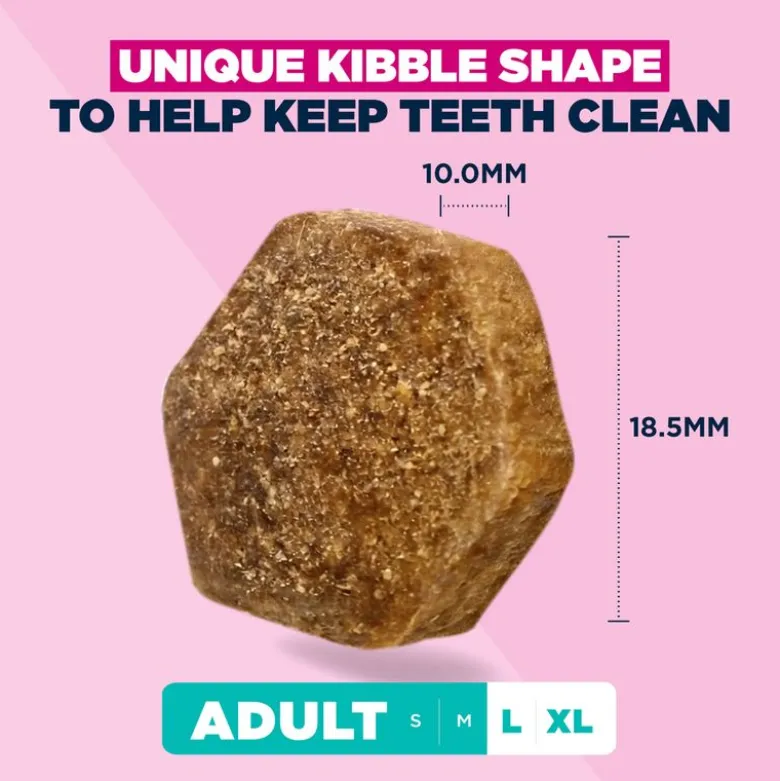 Eukanuba Premium Nutrition Adult Large & Giant Breed kana