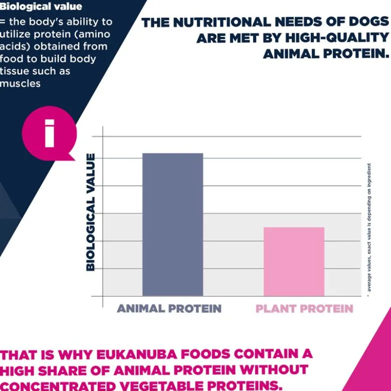 Eukanuba Premium Nutrition Adult Large & Giant Breed kana