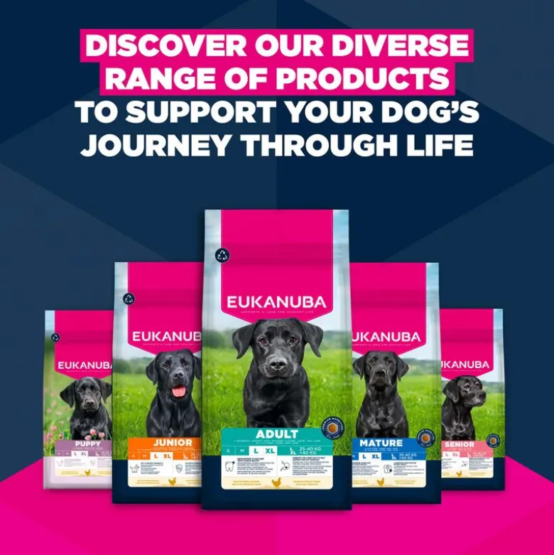 Eukanuba Premium Nutrition Adult Large & Giant Breed kana