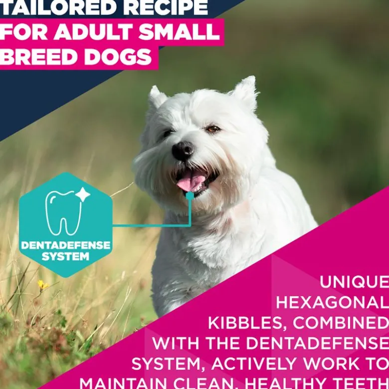 Eukanuba Premium Nutrition Adult Small Breed kana